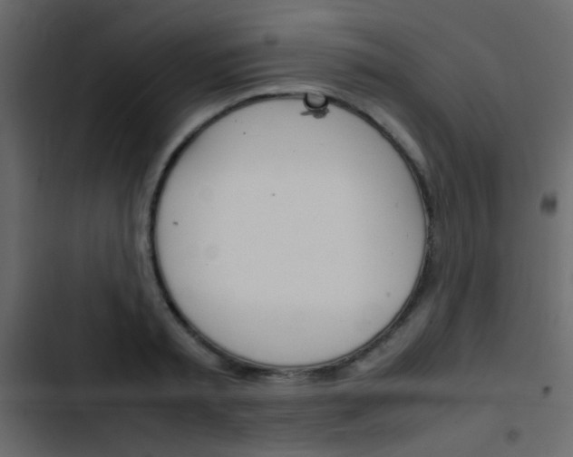 X0000103900797200809191054