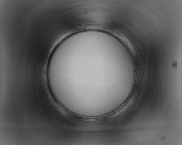 X0000103900798200809191054