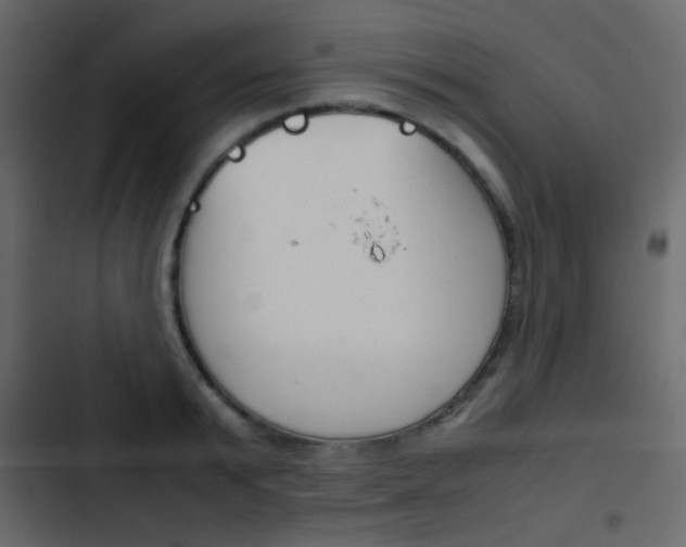 X0000103900799200809191054