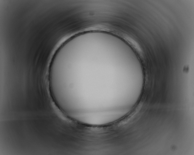X0000103900800200809191054