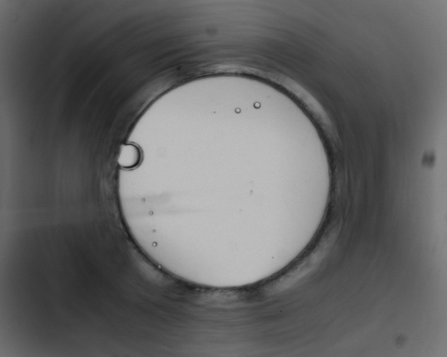 X0000103900801200809191054