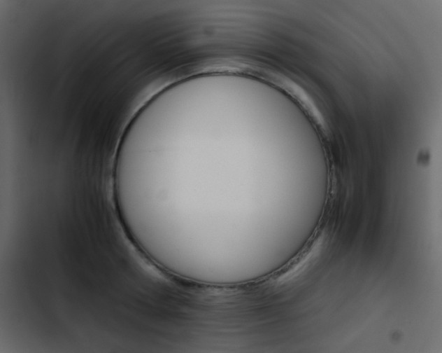 X0000103900802200809191054