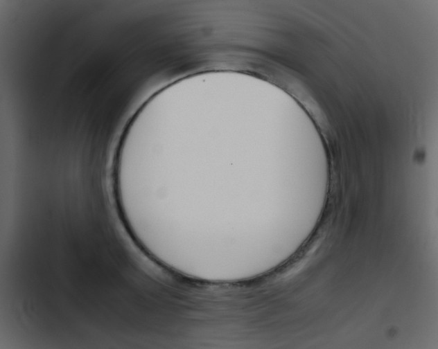 X0000103900803200809191054