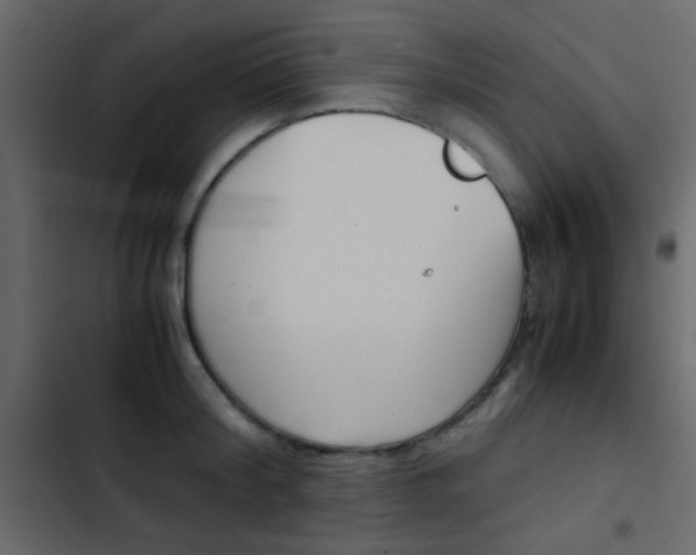 X0000103900804200809191054