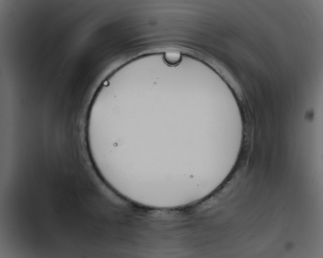 X0000103900805200809191054