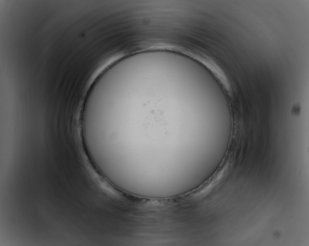 X0000103900806200809191054