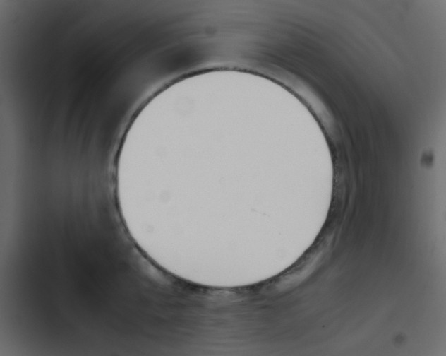 X0000103900807200809191054