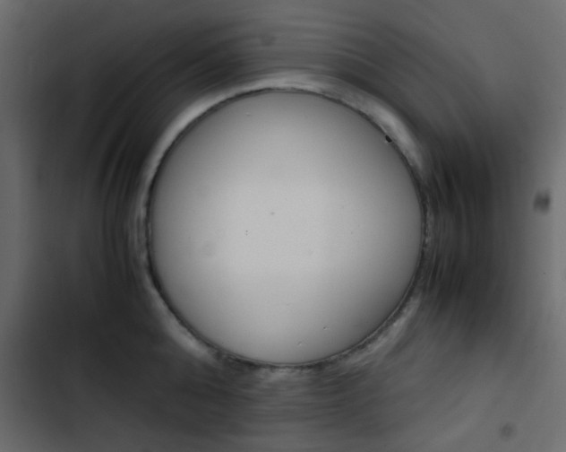 X0000103900808200809191054