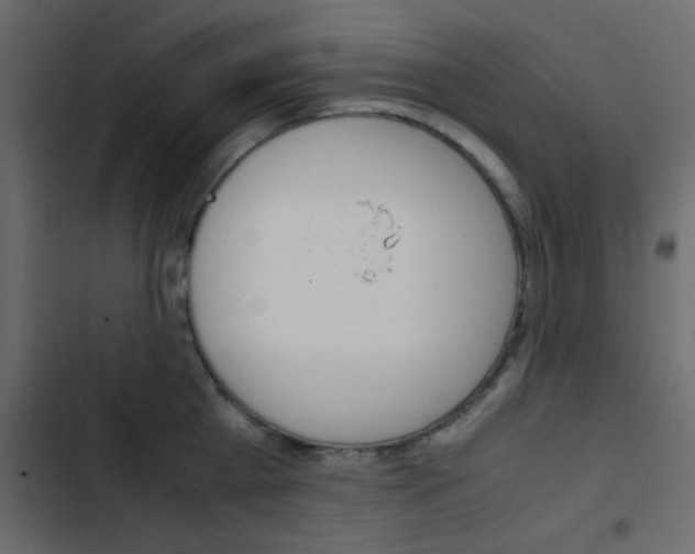 X0000103900809200809191054
