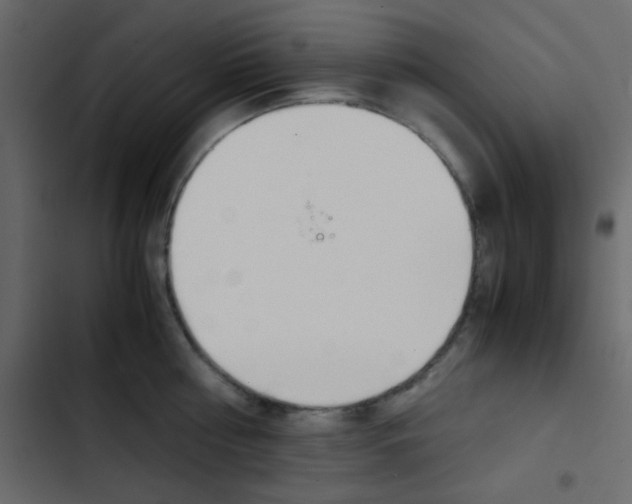 X0000103900810200809191054
