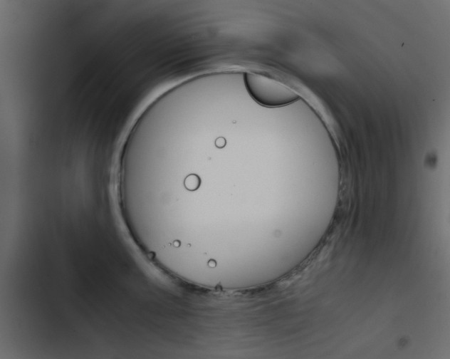 X0000103900811200809191054