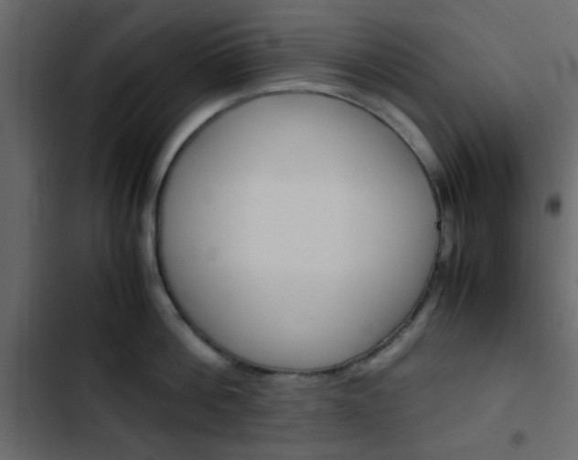 X0000103900812200809191054