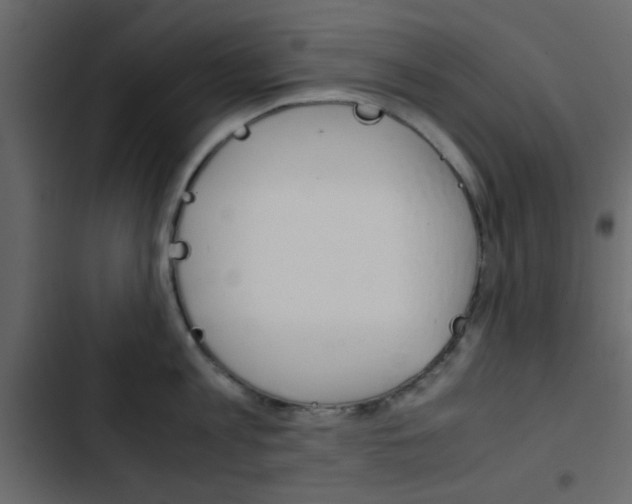 X0000103900813200809191054