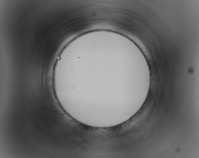 X0000103900815200809191054