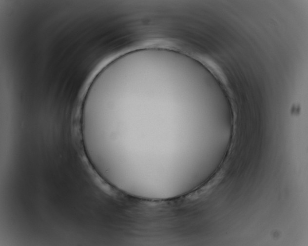 X0000103900816200809191054