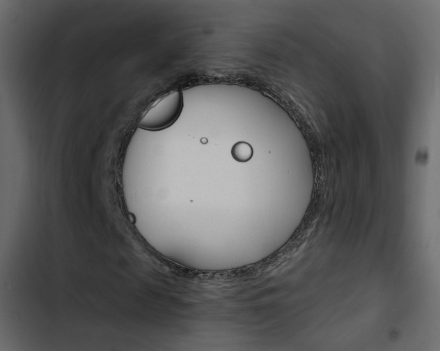 X0000103900817200809191053