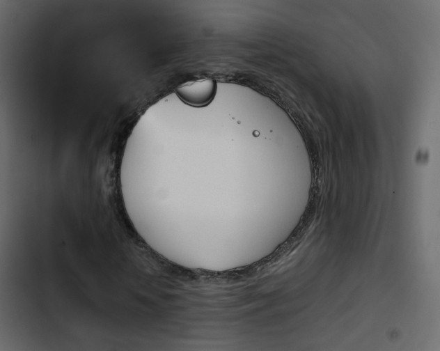 X0000103900818200809191053