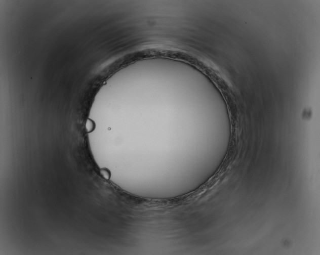 X0000103900822200809191053