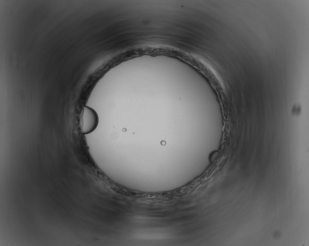 X0000103900823200809191053