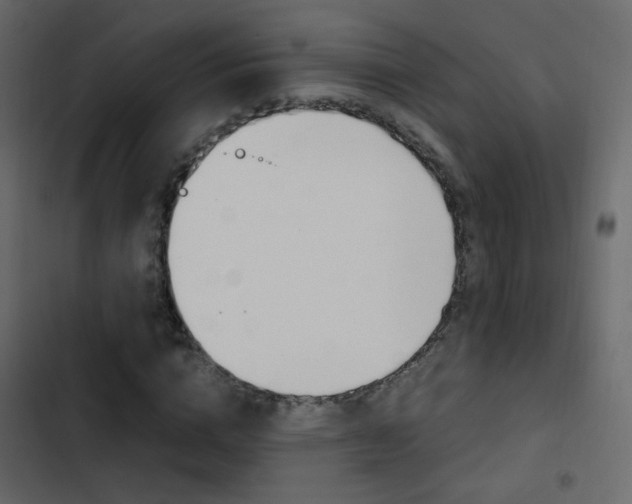 X0000103900824200809191053