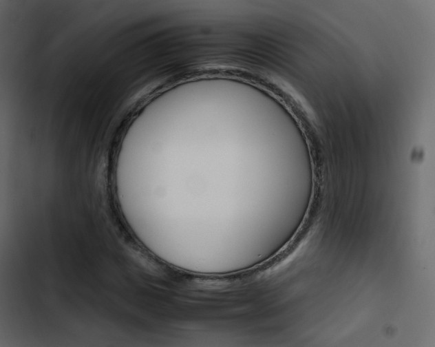 X0000103900825200809191053