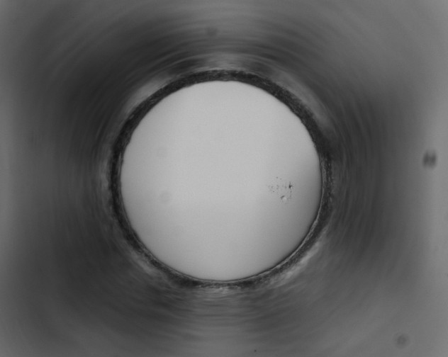X0000103900826200809191053