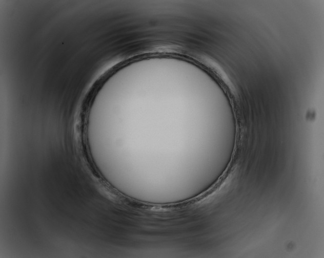X0000103900827200809191053