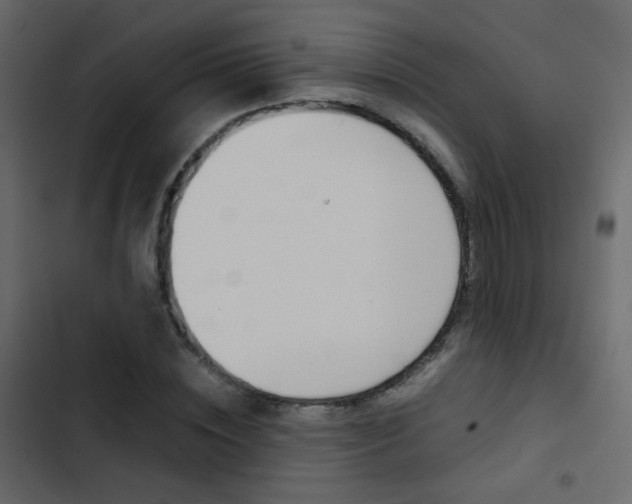 X0000103900828200809191053