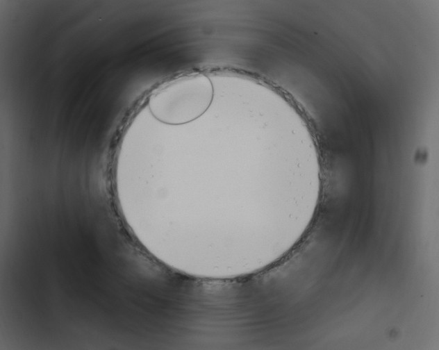 X0000103900832200809191053