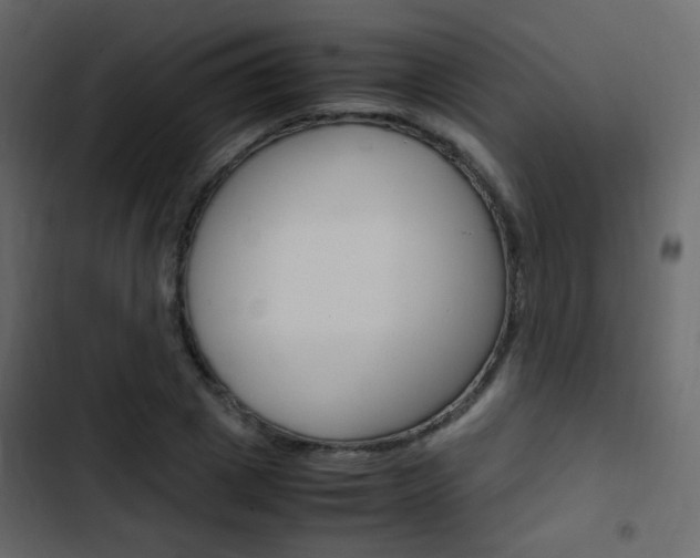 X0000103900833200809191053