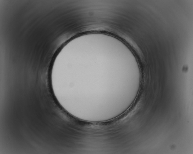 X0000103900834200809191053