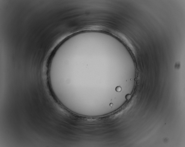 X0000103900835200809191053