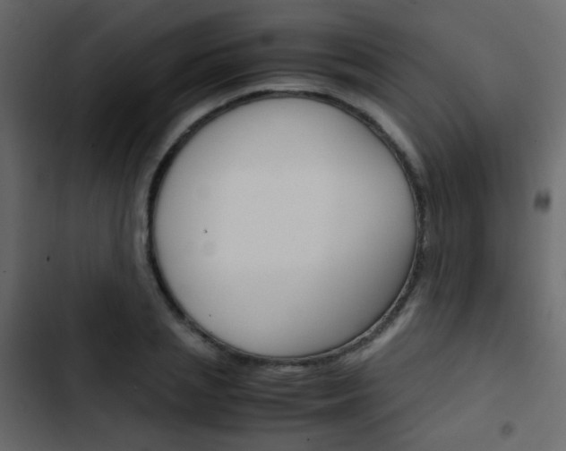 X0000103900837200809191053