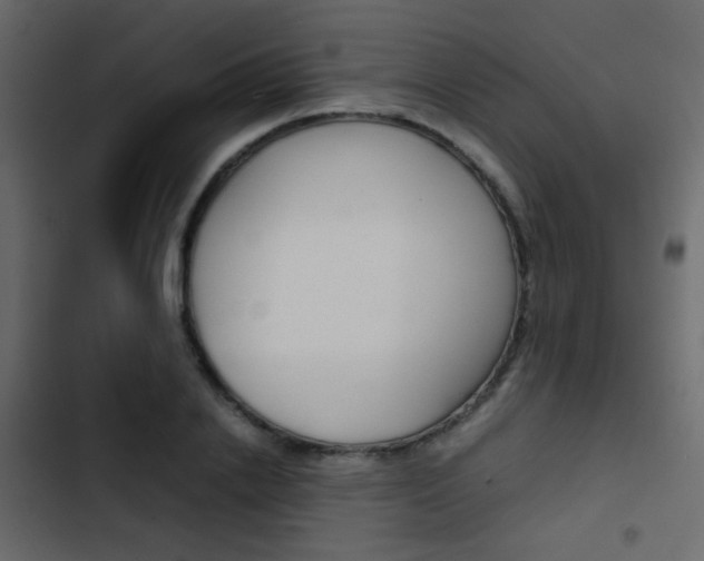 X0000103900838200809191053