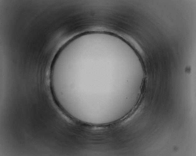 X0000103900839200809191053