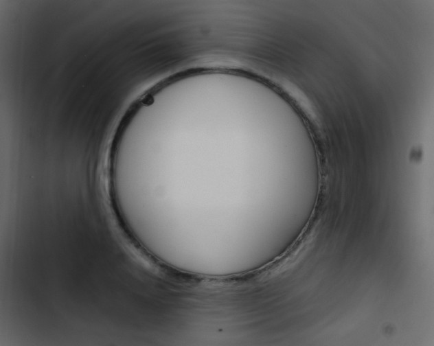 X0000103900840200809191053