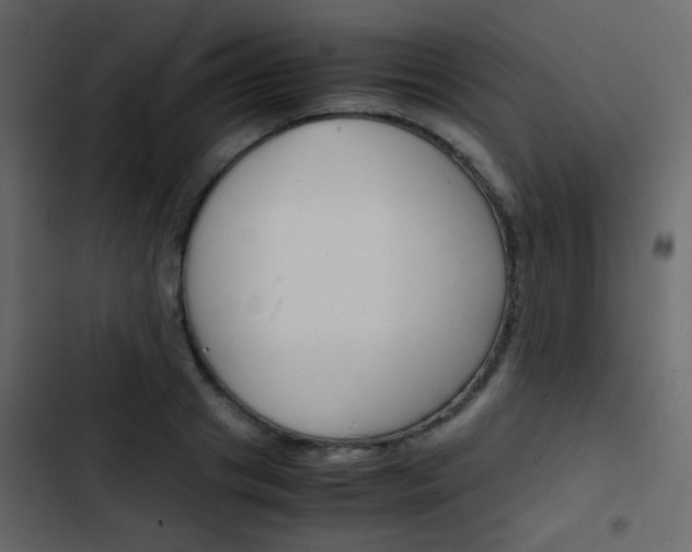 X0000103900841200809191053