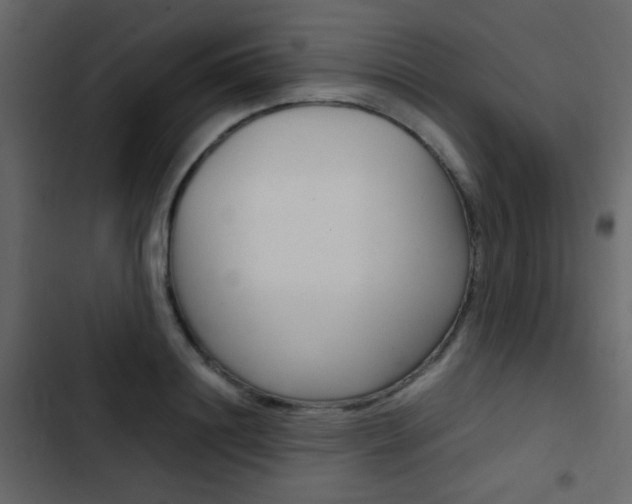 X0000103900844200809191053