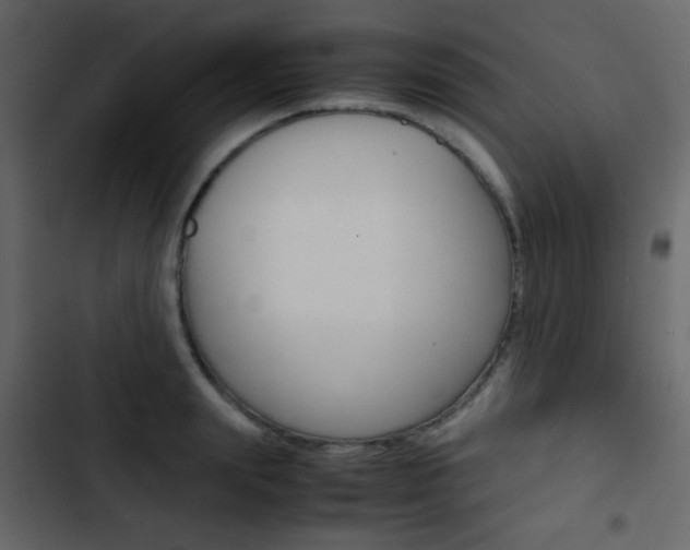 X0000103900847200809191053