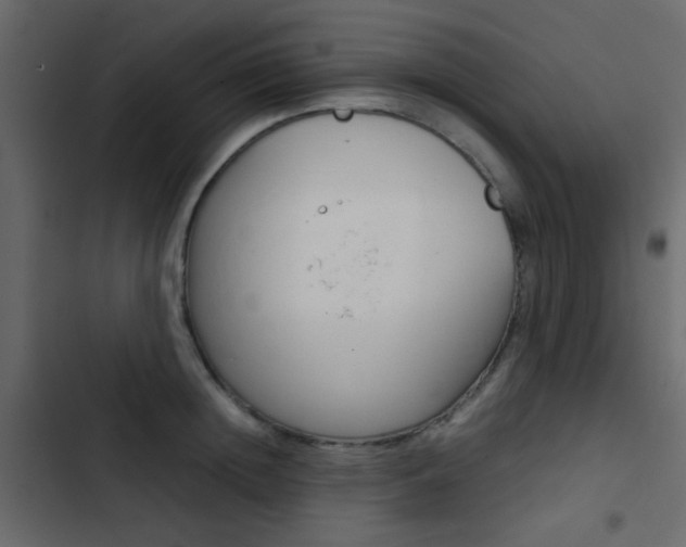 X0000103900852200809191053
