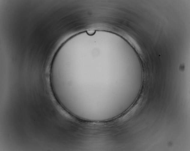 X0000103900854200809191053