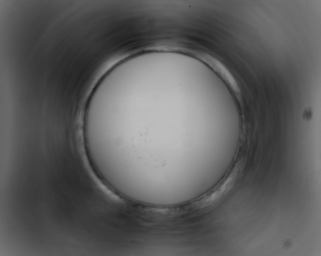 X0000103900855200809191054