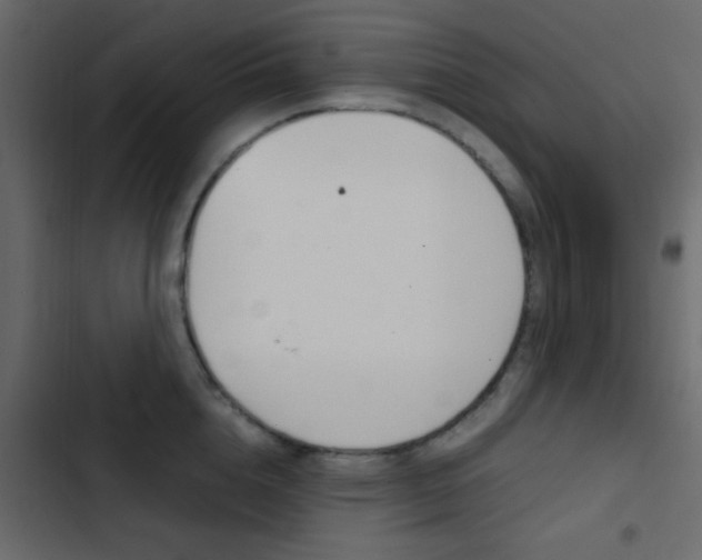 X0000103900856200809191054