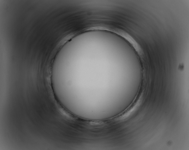 X0000103900857200809191054