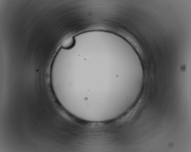 X0000103900858200809191054
