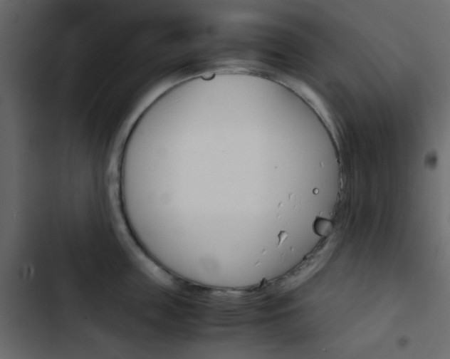X0000103900859200809191054