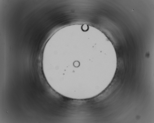 X0000103900860200809191054