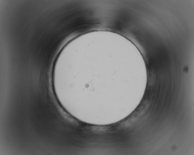 X0000103900861200809191054