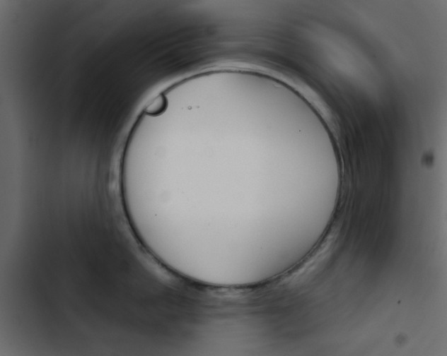 X0000103900862200809191054