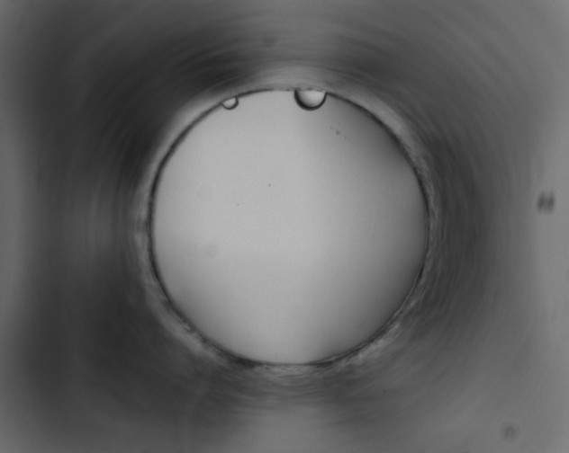 X0000103900864200809191054